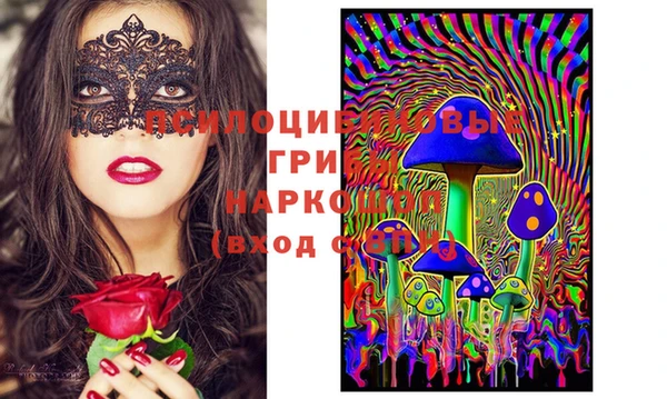 мяу мяу мука Алексеевка
